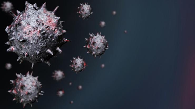 Korkutan sonuç: Koronavirüs 92 derece sıcaklıkta 15 dakika hayatta kaldı