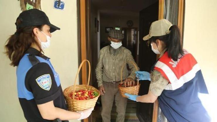 Adadaki kirazlarını jandarma topladı, Vefa ekibi sattı