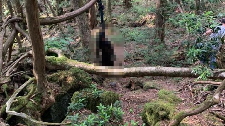 Japonya’daki intihar ormanında bir intihar vakası daha