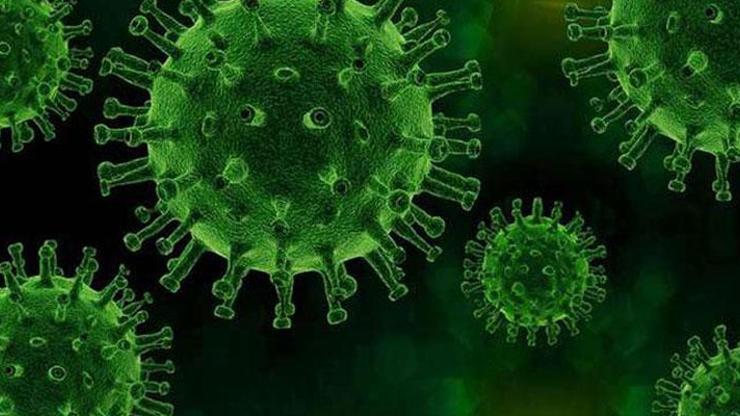 Koronavirüs eksi 20 derecede 20 yıl yaşayabiliyor