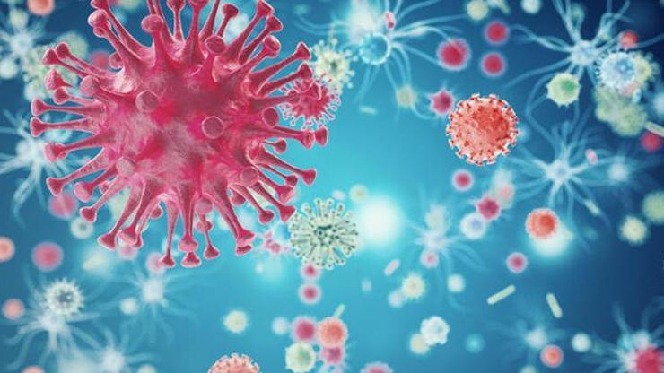 Koronavirüsün tehdit ettiği risk grupları güncellendi