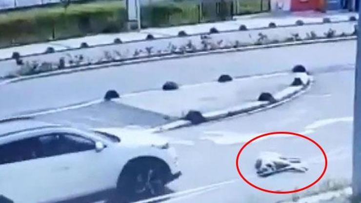 Son dakika: Vicdansızlık kamerada Yolda uzanan köpeği ezdi | Video
