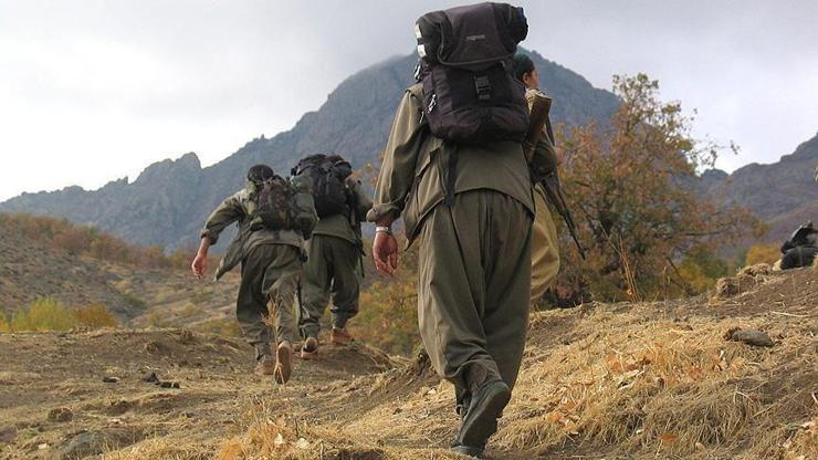 Zap bölgesinde 2 PKKlı terörist etkisiz hale getirildi
