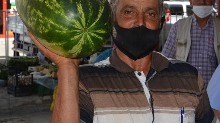 Yayla karpuzu pazarda