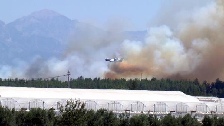 Son Dakika... Antalya Aksuda orman yangını