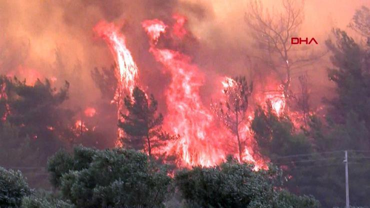 Son Dakika Haberleri: Neden bu kadar çok yangın çıkıyor | Video