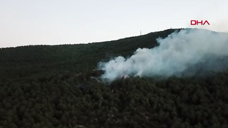 Son dakika haberi... İstanbulda orman yangını | Video