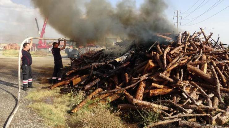 Araçtan atılan izmarit yangına neden oldu Tonlarcası zarar gördü