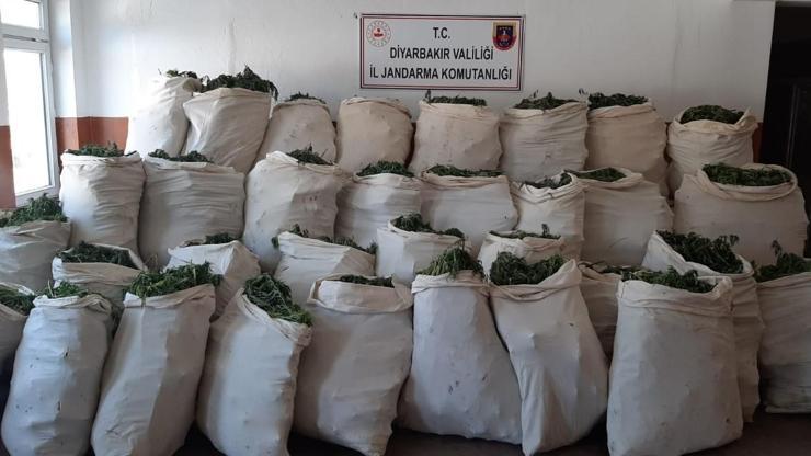 Diyarbakırda operasyon: 1 milyon 119 bin kök kenevir ve 756 kilogram esrar ele geçirildi