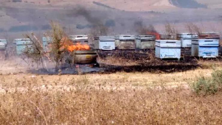 Son dakika... 50 kovan arı telef oldu