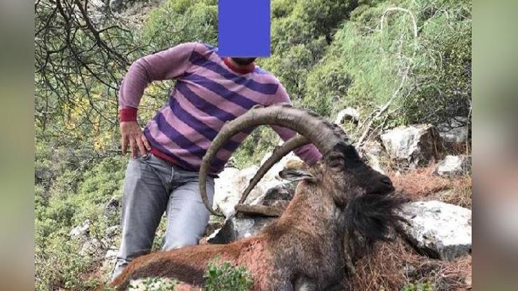 Koruma altındaki dağ keçisini avlayıp fotoğrafını paylaştı 23 bin TL ceza yedi
