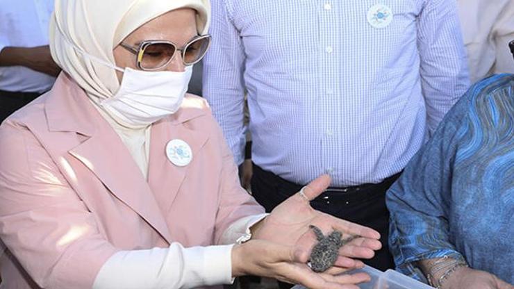 Emine Erdoğan kaplumbağaları denize uğurladı | Video