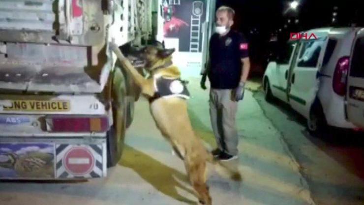 Polis Kocaelide şüpheli bir TIRda arama yaptı. 132 kilo uyuşturucu ele geçirildi | Video
