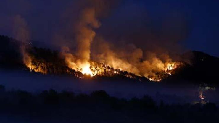 Ankarada yeniden orman yangını