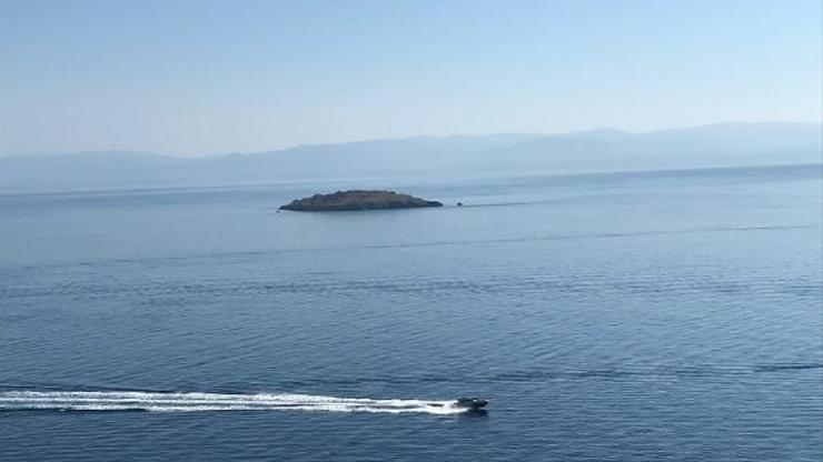 Son dakika.. Marmara Denizi ekosistemine gırgır tehlikesi