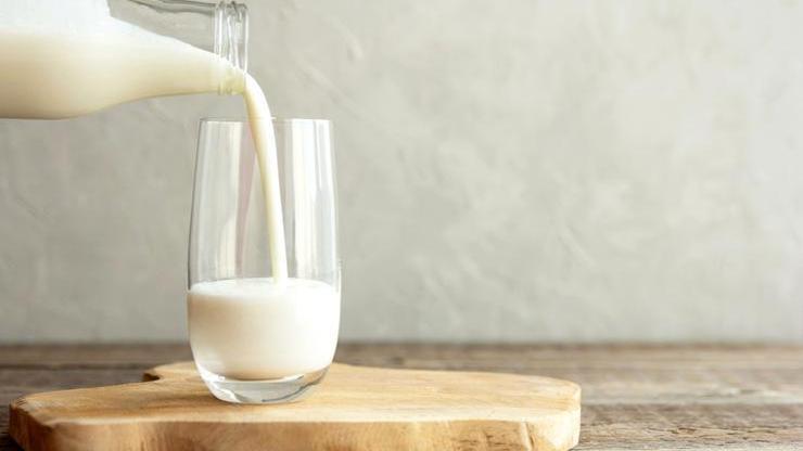 Eşek sütünün sağlığa faydaları