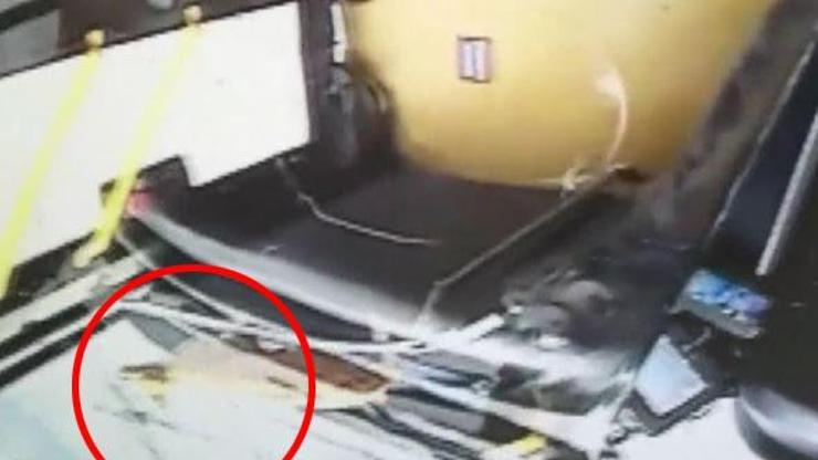 Son Dakika Haberler: Kafesinden kaçan kedi otobüsü birbirine kattı | Video