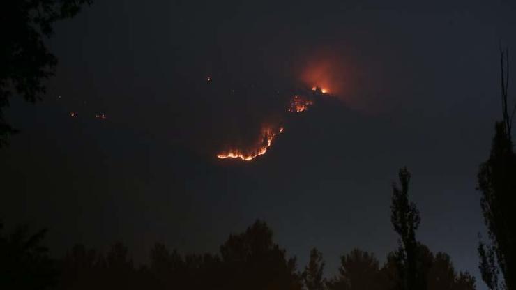 Adanada orman yangını sürüyor