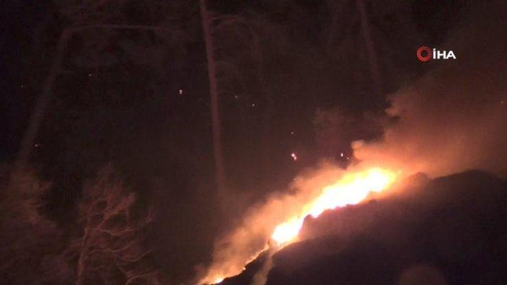 Antalya Adrasanda orman yangını | Video