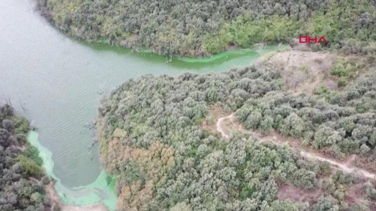 Göle kimyasal atık boşaltıldı | Video