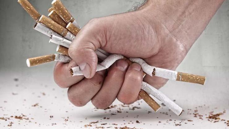 Nikotinin en büyük düşmanı Ciğerleri temizliyor