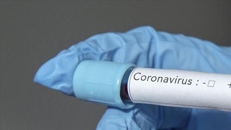 Koronavirüs belirtileri nelerdir, kaç günde belli olur