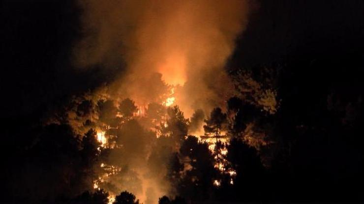 Son Dakika Haberleri: Aydos Ormanında yangın