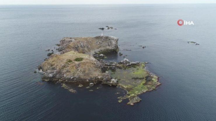 Rivadaki Eşek Adası görenleri büyülüyor