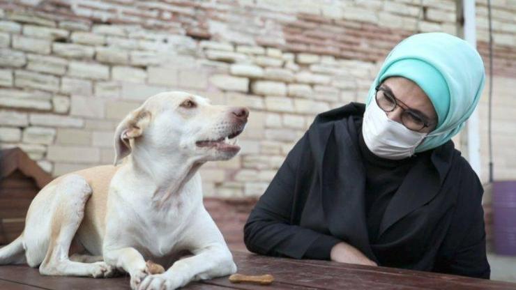 Emine Erdoğan hayvan barınağını ziyaret etti