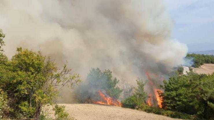 Son dakika yangın haberi: Osmaniyedeki yangın son durum ne