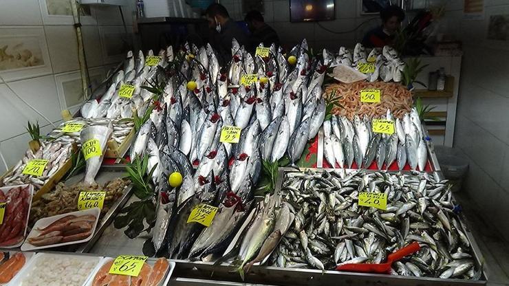 Tezgahlarda balık fiyatları | Video