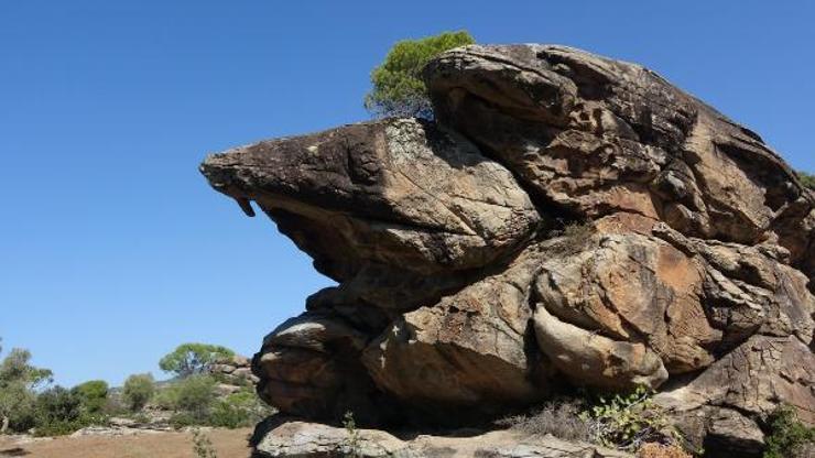 Latmosun 12 bin yıllık kaya resimleri dünyaya açılacak