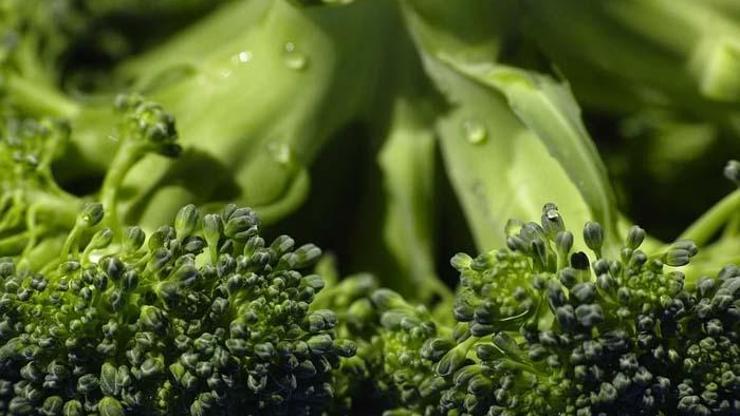 Kısırlığa karşı brokoli ve lahana