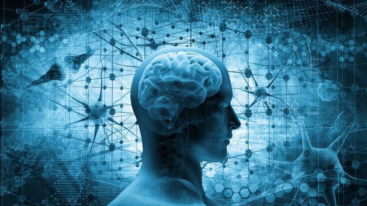 Zihinsel ve Entelektüel Gelişim