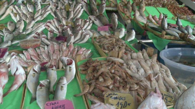 Balık fiyatlarında artış... Hamsi ve istavritin kilosu 50 liraya kadar çıktı | Video