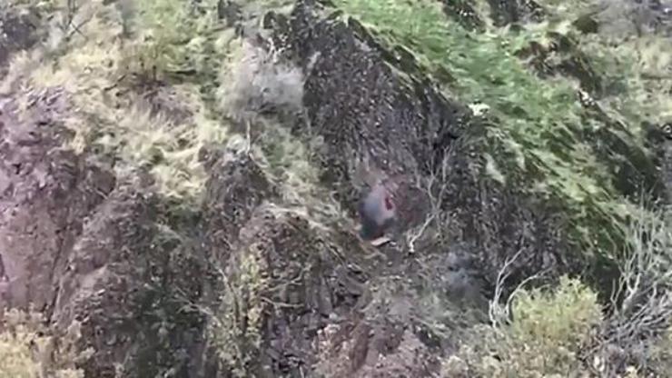 MSB: Terör örgütü PKKnın karargah olarak kullandığı mağara imha edildi