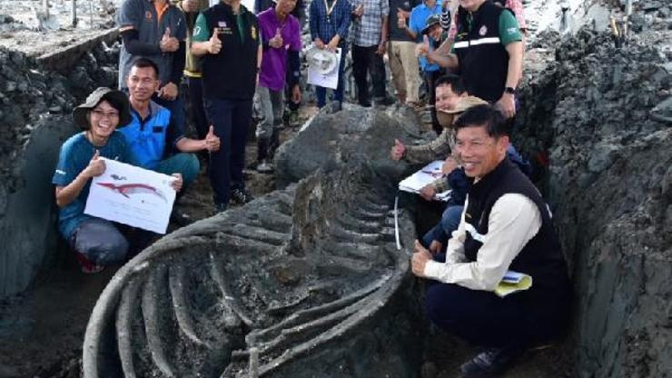 Tayland’da 5 bin yıllık balina kalıntıları bulundu