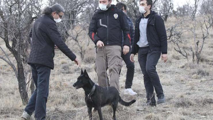 Ankarada dağlık arazide kesik insana ait kafatası bulundu | Video