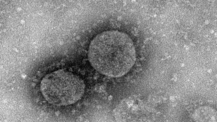 Antikorlara yakalanmayan koronavirüs mutasyonu tespit edildi