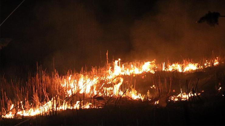 Eber Gölünde yine yangın çıktı | Video