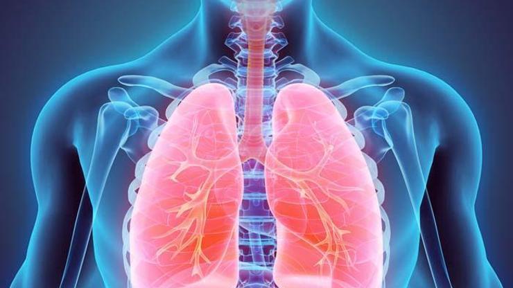 Akciğer sağlığı için risk faktörleri neler