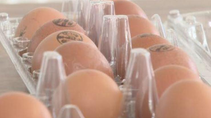 Gezen tavuk yumurtası aldatması | Video