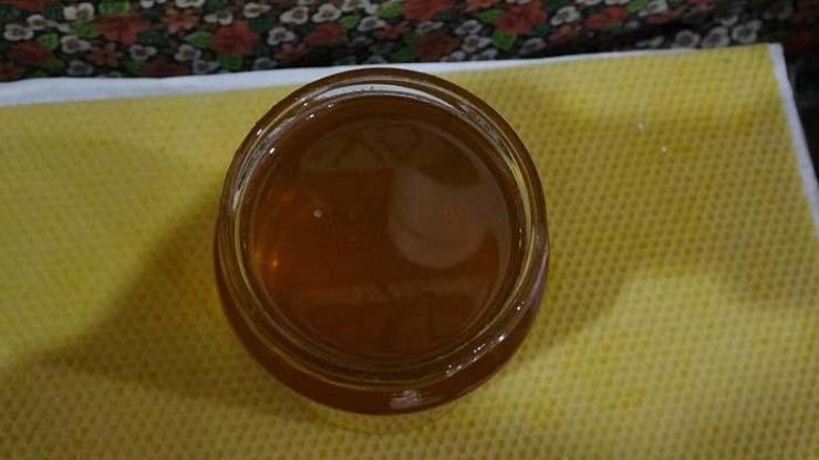 Karadenizde, deli bal tehlikesi; fazla tüketen hastanelik oluyor