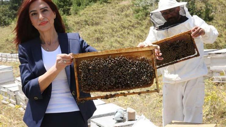 Prof. Dr. Ulviye Kumova: Arıların Covid- 19u tespiti konusunda bir test ve araştırma yapılmalı