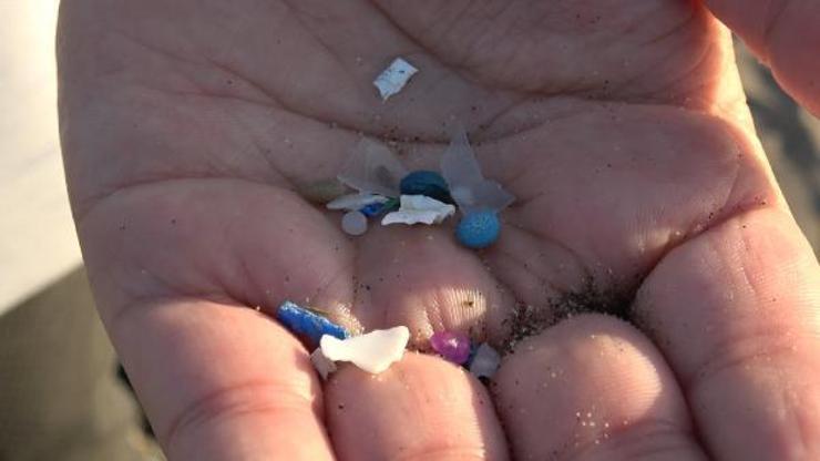Akdenizde mikro plastik tehlikesi