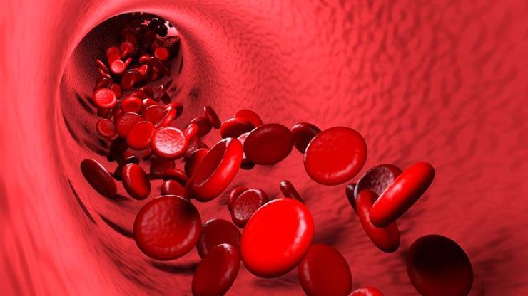 Kanda Enfeksiyon Nedir Kan Zehirlenmesi (Sepsis) Belirtileri Nelerdir, Tedavisi Nasıl Yapılır