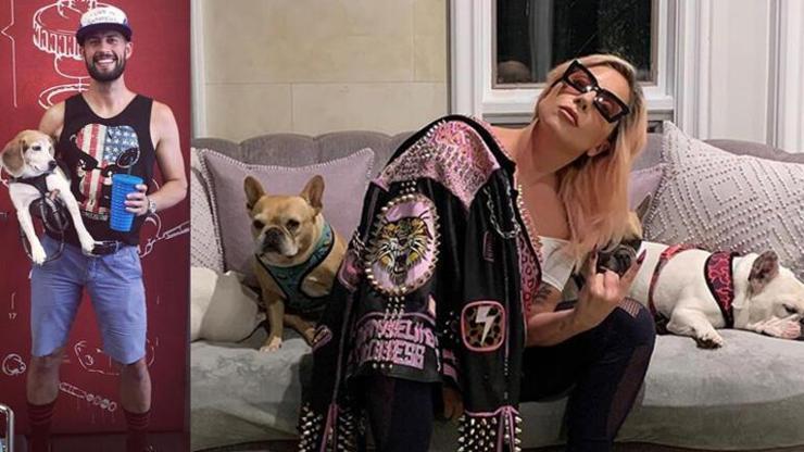 Lady Gagaya büyük şok: Silahlı saldırı sonrası köpekleri çalındı