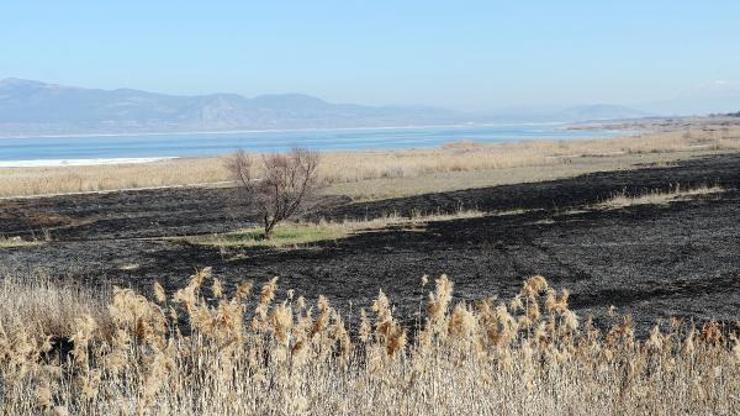 Burdur Gölü kıyısındaki yangının neden olduğu tahribat ortaya çıktı