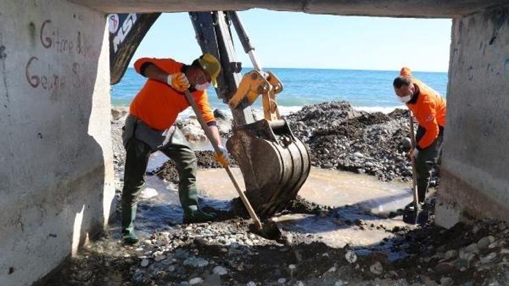 Mersin’de sivrisinek ve larvaya karşı yoğun mücadele