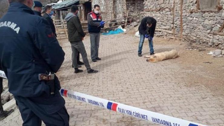 Köy meydanında öldürülen köpek için inceleme